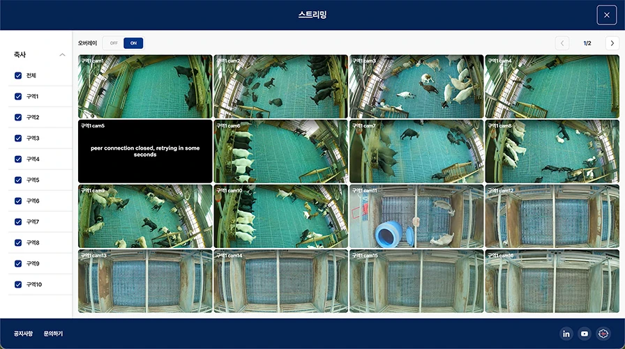 Cattle camera overview