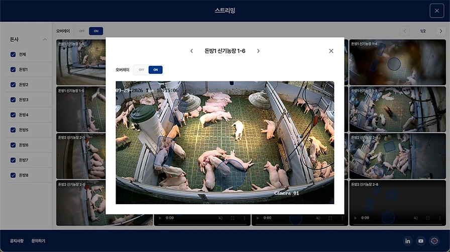 Pig monitoring